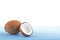 Brown coconut on a bright light blue background. Fresh coconut cut in half. Delicious tropical nuts full of nutrients.