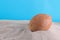 brown coconut close-up in the sand with a place for writing on a blue background