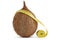 Brown coconut and yellow measuring tape