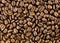 Brown coffee, background texture. roasted coffee beans.