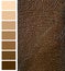 Brown color complimentary chart