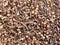 Brown color dried Cloves