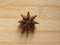 Brown color Star Anise fruit