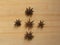 Brown color Star Anise fruits