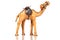 Brown colored camel, souvenir from dubai