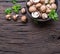 Brown colored common mushrooms on wooden table with herbs. Top view