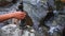 A brown colored hand stacking another small rocks to the stacked rocks