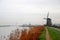 Brown colored reed along river Rotte