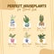 Brown Colorful Cute Illustrative Perfect Houseplant for Direct Sun Instagram Post