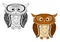 Brown and colorless cartoon owl birds