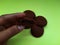 brown cookies isolated on green background