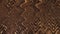 Brown cool trendy beige abstract background