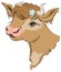 Brown cow head with a flower in her hair. Side view