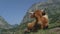 Brown Cow Lies on Green Grass among High Mountains