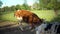 The brown cow rests on the ground, a homemade horned animal lying on a pasture, cattle in a free frame