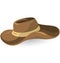 Brown cowboy hat