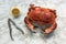 Brown crab over marble background