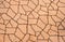 Brown crack pattern floor tiles.