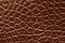 Brown crocodile leather