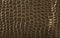 Brown crocodile leather pattern for background. Glossy alligator skin