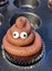 Brown cupcake with poo emoji icing