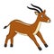Brown Cute Antelope running