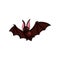 Brown cute flying bat, horror cave animal