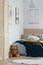 Brown cute teddy bear on wooden floor of stylish bedroom interior for kids