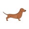 Brown dachshund dog icon, cartoon style