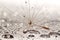 Brown dandilion on wet, silver surface