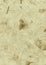 Brown Deckle Edged Natural Wallpaper, Paper, Texture, Abstract,