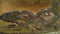 Brown dirty lake with patterned shore. Shot. Top view of patterned surface of marshy shores and musty brown acid lake