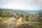 Brown dog sits calmly and enjoys panorama of Birtvisi