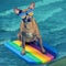 Brown dog in sun glasses, on a swimming board, looks interested, concept of vacation and active lifestyle