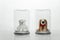 Brown dog and white bear fluffy doll protect by transparency glass protection in social and physical distancing for covid-19