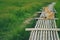 A brown dog on wooden bamboo bridge walkway spanning to the rice field