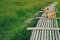 A brown dog on wooden bamboo bridge walkway spanning to the rice field