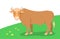 Brown domestic bull grazing on green pasture flat cartoon illustration