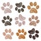 Brown doodle paw print background