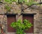 Brown Doors divided by a green tree, from one of the house of talasnal schist village