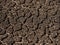 Brown dried crack soil earth background.