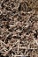 Brown dried stacked firewood pattern background