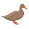 Brown duck icon, cartoon style