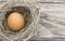 Brown egg in bird nest, Easter background