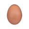 Brown egg. Chicken egg Easter symbol. Vector illustration isolated on white background