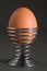 Brown egg in eggcup