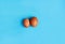 Brown eggs on blue background. Size difference concept between two farm eggs