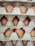 Brown eggs in a box, Eggs before hatchery