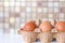 Brown eggs in a cardboard tray top view. Selected focus