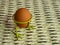 Brown eggs of light color prepare for the holiday Easter against the background from a white rope and dark branches of a